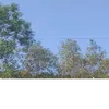 nuyynhxinhh04