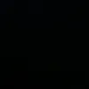 rago.6719