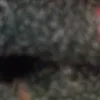 444445556mm