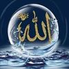 user2953069237718