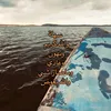jhsyria_96