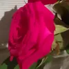 flordocampo.1501