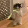 hanidmonkey4