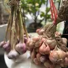 nong.san34