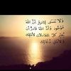 الشعرُ