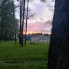.venoma3
