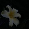 prettyeyelibraa