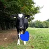 agnslovis