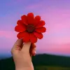 rosa.moreno.espin