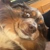 kenny.the.aussie