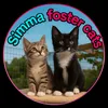 simmafostercatsuk
