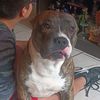 brucy0839