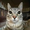 georgi0419