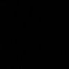 syinthefiss