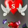 user49784274122484