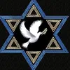 ampolla223