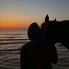 mody_8111