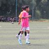 pemain2013