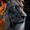 abo.hamza0516