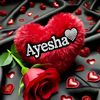 ayisha61691