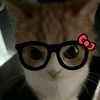 mimu_5666