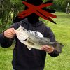 fishin_fooll