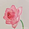 suatuoikhongduong99
