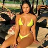 rosemarafigueirinha5