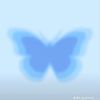 atiqah_butterfly