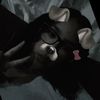 jimena_urfav1