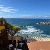 elisa_falcone8