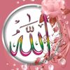 user8461618586943