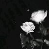 berryscllysta_
