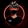 tigergaming810