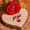 hoda.ahmed1522