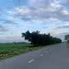 Gia dụng
