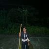 elkand.stfenia