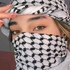 palestinmycountry