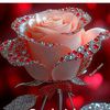 ybbh.tanya