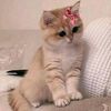 riwa_10
