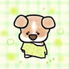 nguyenmaianh283