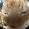 bwhajajahshshshs