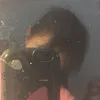 hnhy_etet