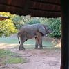 vincentmulungu431