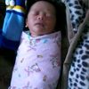 alzam9897