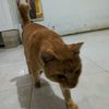 maengjain.231213