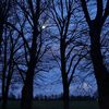 korvin_0779