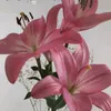 ntpmmet