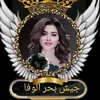 22blsam22