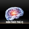 Kiến Thức Thú Vị Official